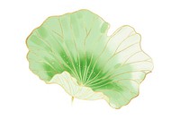 Chinese lotus leaf green plant petal food.