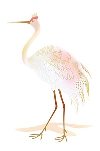 Crane chinese stand to animal bird white background.