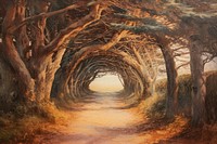 Mature beach trees tunnel landscape painting tranquility.