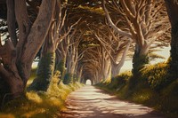 Mature beach trees tunnel landscape painting tranquility.