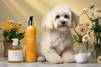 Dog shampoo products