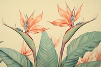 Vintage drawing of bird of paradise pattern flower sketch painting.