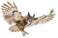 A Great Horned Owl gracefully spreading its wings while clutching a mouse in its talons owl drawing animal.