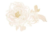 Rose flower chinese pattern drawing sketch.