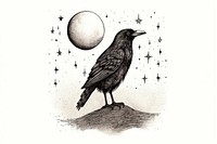 Crow drawing animal bird.
