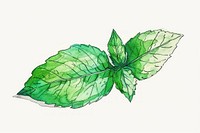 Mint leaf in style pen and ink sketch plant herbs.