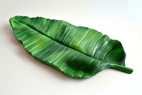 A banana leaf plasticine Childish style plant freshness nature.