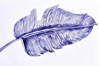 Realistic ballpoint pen drawing vintage drawing a banana leaf sketch plant paper.