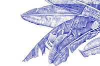 Realistic ballpoint pen drawing vintage drawing banana leaf sketch plant blue.