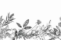 Realistic pencil vintage drawing as a border graphic spices and herbs sketch graphics pattern.