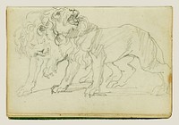 Pair of lions by Théodore Géricault