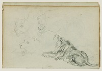 Four lion studies by Théodore Géricault