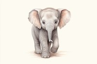 Baby animal elephant wildlife drawing.