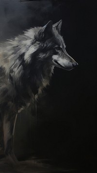 Wolf animal mammal darkness.