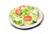 Salad vegetable lettuce plate.