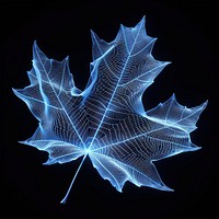 Glowing wireframe of an autumn leaf pattern plant blue.