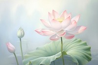 PNG Painting of lotus flower petal plant.