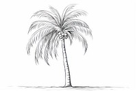 Palm tree outline sketch drawing plant tranquility.