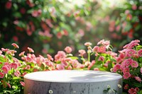 Product podium with spring flower outdoors blossom nature.
