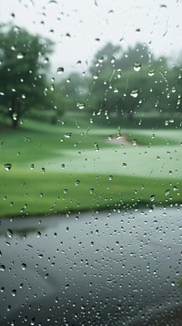 Rain scene with golf course outdoors nature plant.
