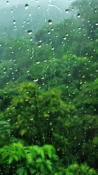 Rain scene with landmark outdoors nature plant.