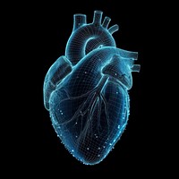 Glowing wireframe of heart blue black background tomography.
