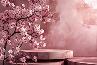 Product podium with a cherry blossom outdoors flower nature.