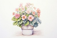 Painting of flower pot drawing sketch plant.