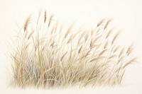 Painting of grass drawing plant tranquility.