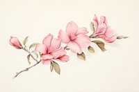 Painting of pink flower blossom drawing petal.