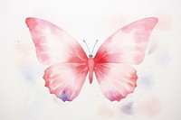 Background butterfly painting animal petal.