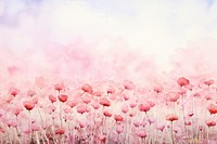 Background carnation backgrounds outdoors blossom.