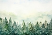 Background Pine forest backgrounds landscape outdoors.