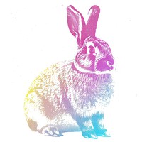 Easter rabbit Risograph style animal mammal white background.