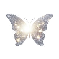 Butterfly icon light white background illuminated.