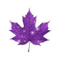 Purple Maple leaf icon maple plant shape.