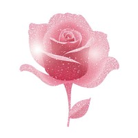 Rose icon flower petal plant.
