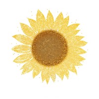Sunflower icon plant shape white background.