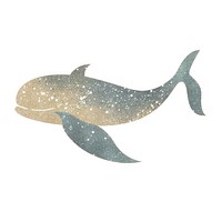 Whale icon dolphin animal mammal.