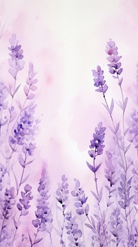 Lavender flower wallpaper blossom nature purple.