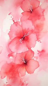 Wallpaper hibiscus blossom flower petal.
