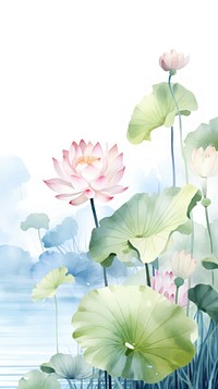 Wallpaper lotus flower plant petal.