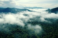 Rainforest sky fog landscape.