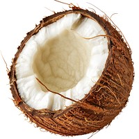 Coconut plant white background accessories.