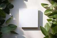 Small blank square card leaf lighting plant.