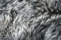 Wolf fur texture backgrounds monochrome textured.