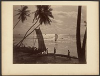 Ceylon by Charles T Scowen