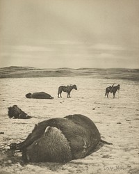 After the Chase, North Montana Range, M.T. Jan 82. by Laton Alton Huffman