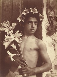 Boy with lillies by Baron Wilhelm von Gloeden