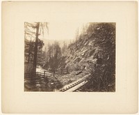 Ore Tracks Near Santa Cruz, California by Edward L Woods
